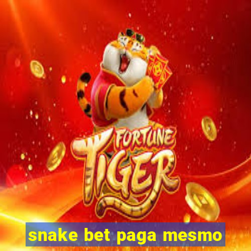 snake bet paga mesmo