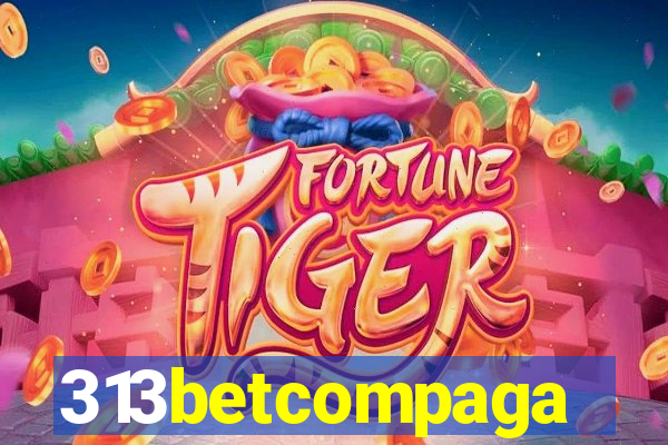 313betcompaga