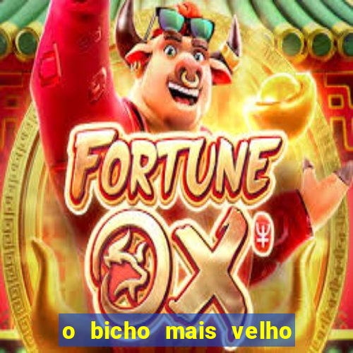 o bicho mais velho da loteria dos sonhos