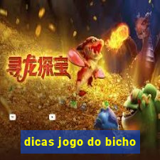 dicas jogo do bicho