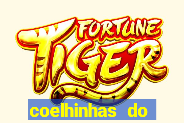 coelhinhas do brasil site