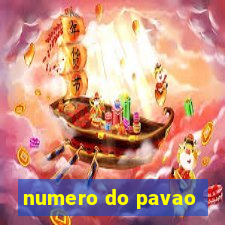 numero do pavao