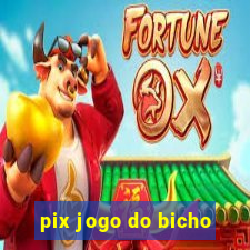 pix jogo do bicho