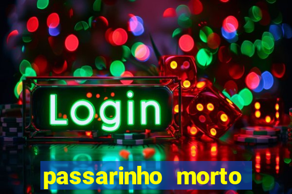 passarinho morto significado espiritual