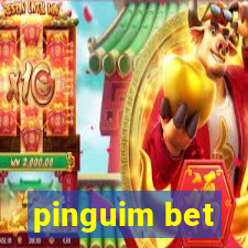 pinguim bet