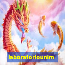 laboratoriounimedblumenau.com.br