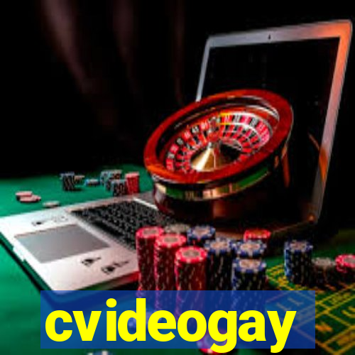 cvideogay