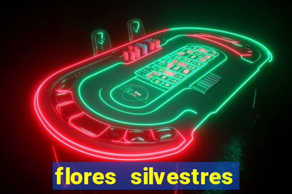 flores silvestres desbravadores desbravadores 25