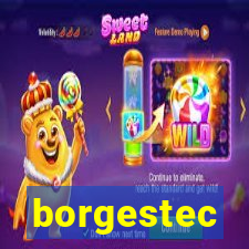 borgestec