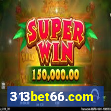 313bet66.com