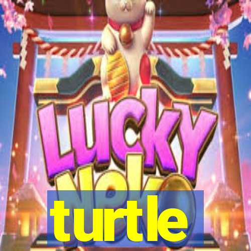 turtle-ty.com